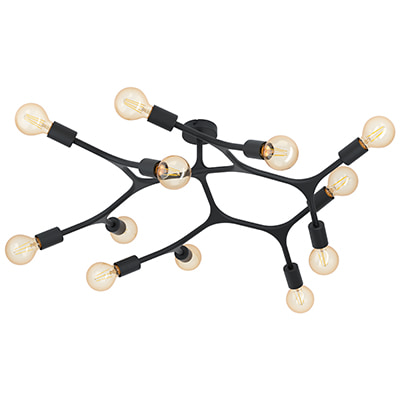 Bocadella1 12LT Ceiling Light Black