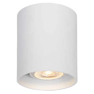Ceiling Surface Mount Downlight Sand White