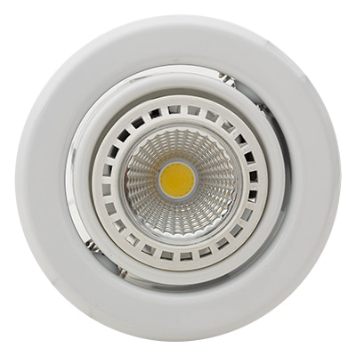 Tilt Downlight 94mm Dia Polished Brass (PP) — shown in white