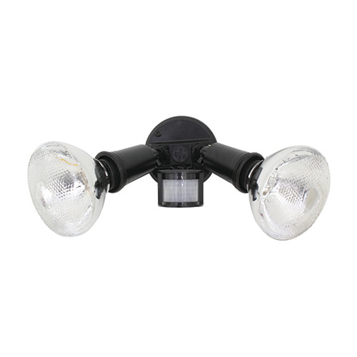 PAR38 2LT Security Light Black
