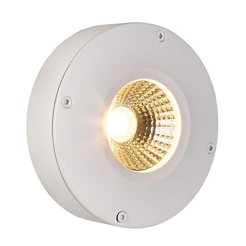 Callisto Outdoor Downlight White LED 3W