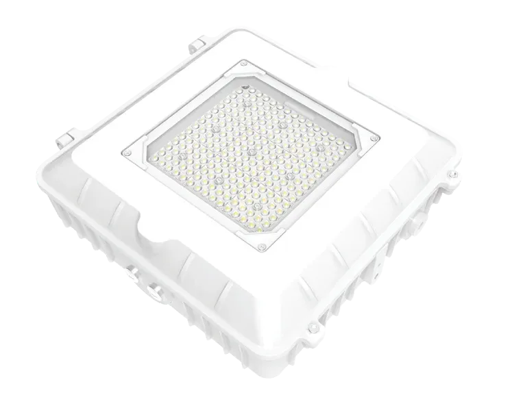 DEFENDER IP65 Canopy 3Watts+3CCT All in 1