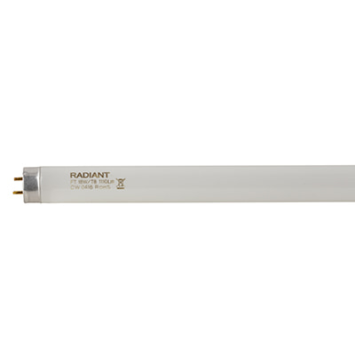 2FT T8 Fluorescent Tube 18w G13 4000K  Pre-pack