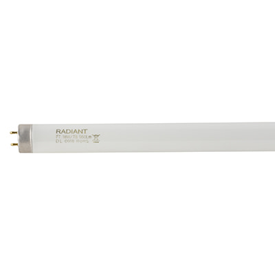 2FT T8 Fluorescent Tube 18w G13 6500K